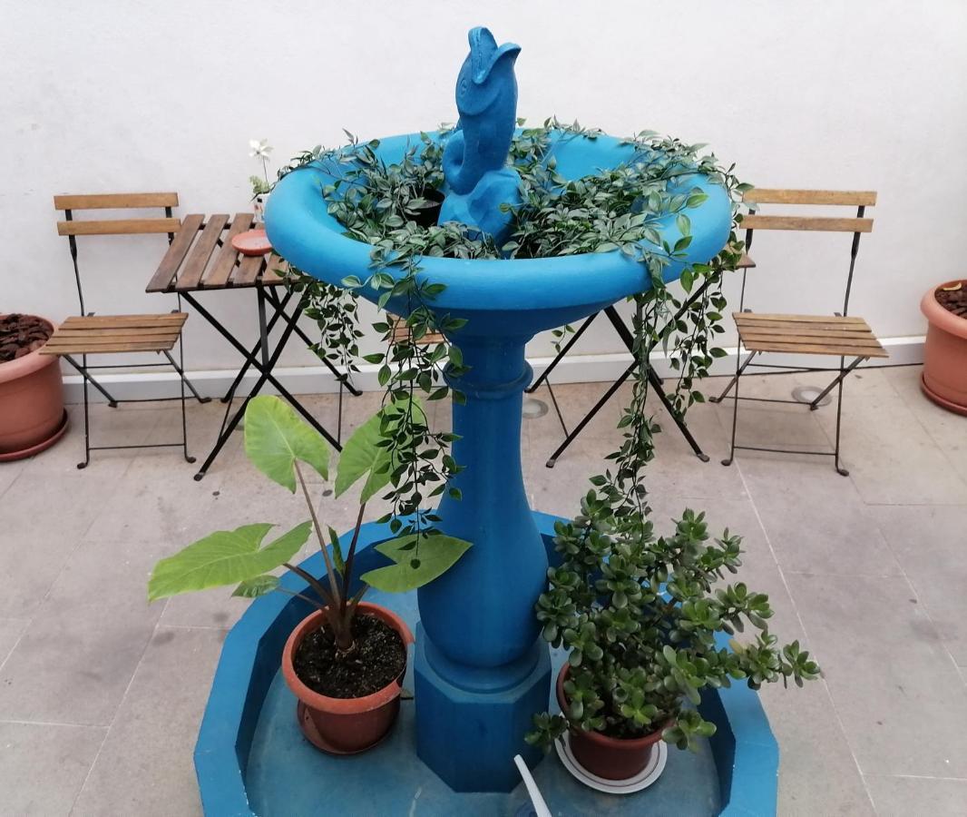 Old Evora Hostel ภายนอก รูปภาพ
